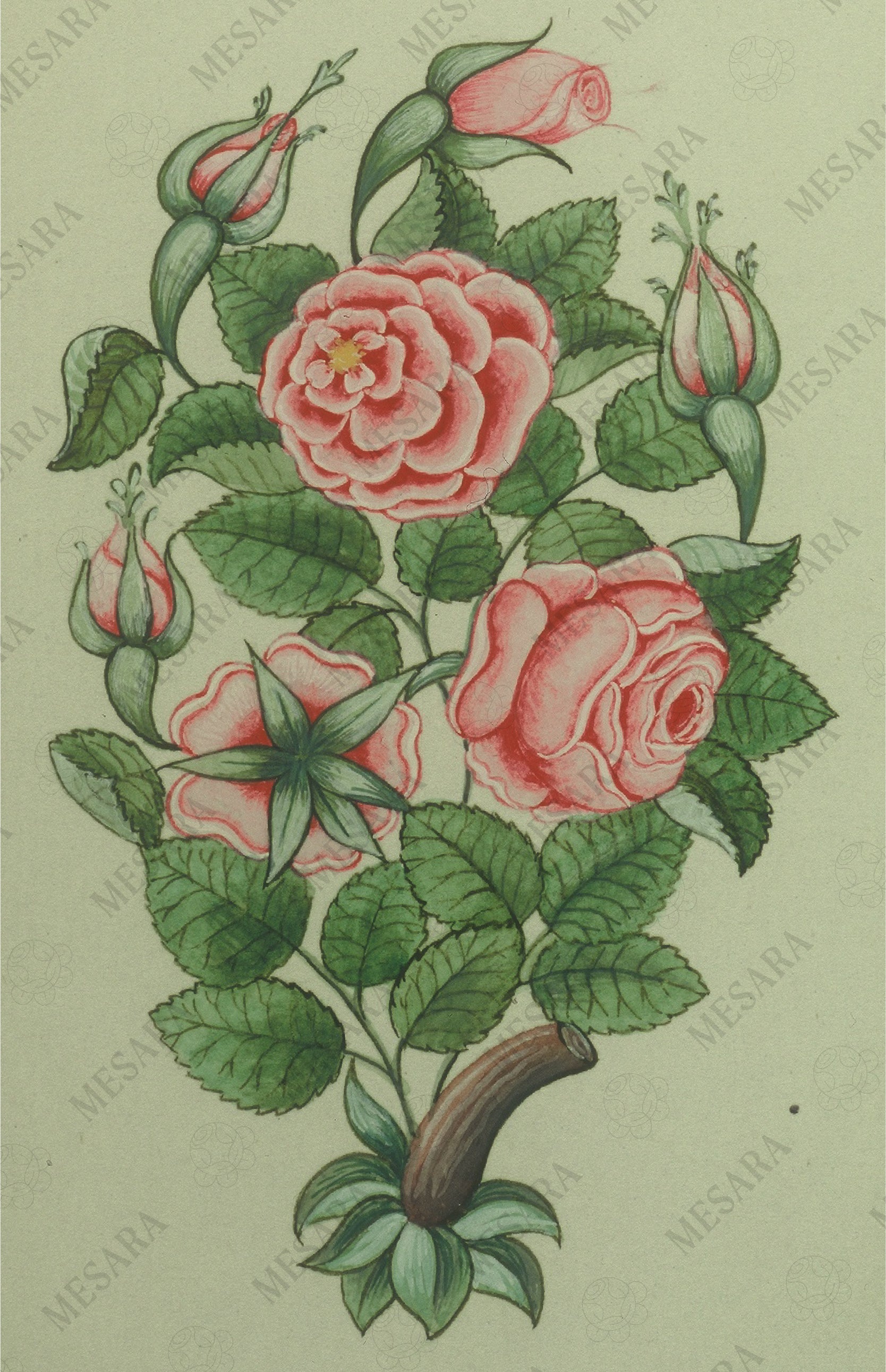 A Bouquet of Pink Roses with Buds