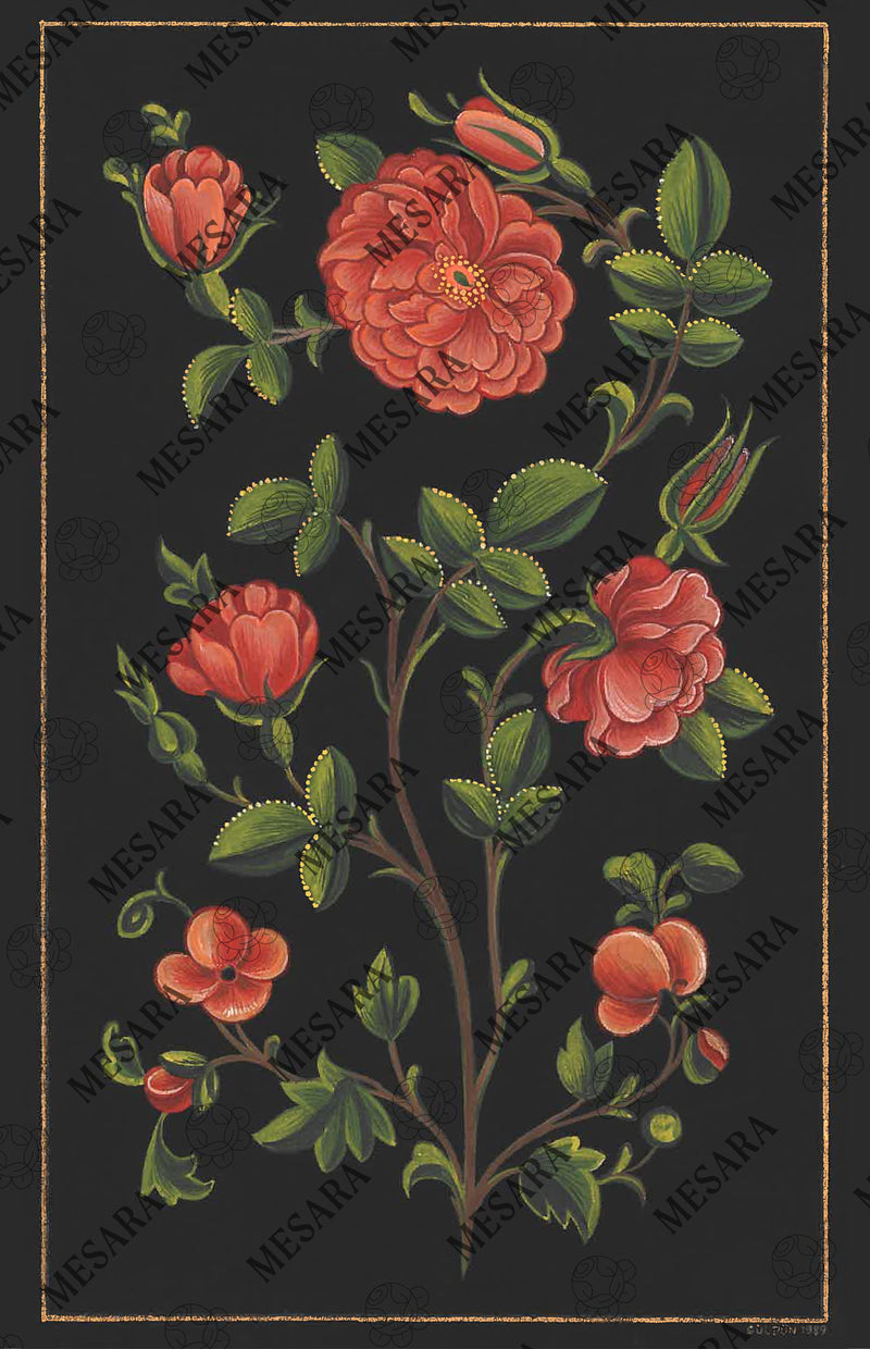 A Study Of a Red Rose Bush