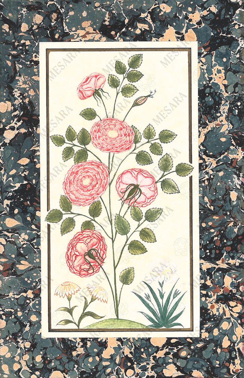 A Study of a Rose Bush