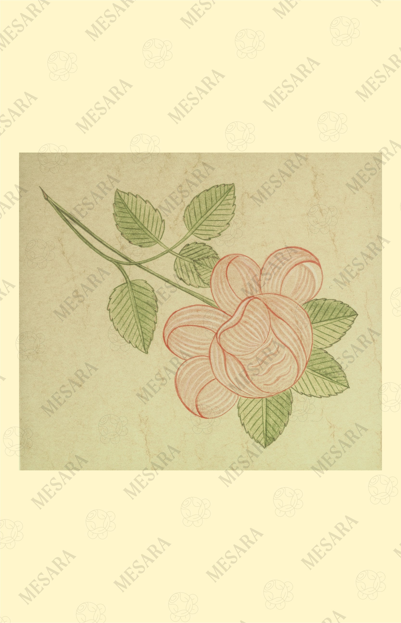 A Single Upside Down Rose