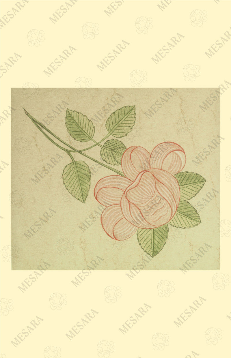 A Single Upside Down Rose